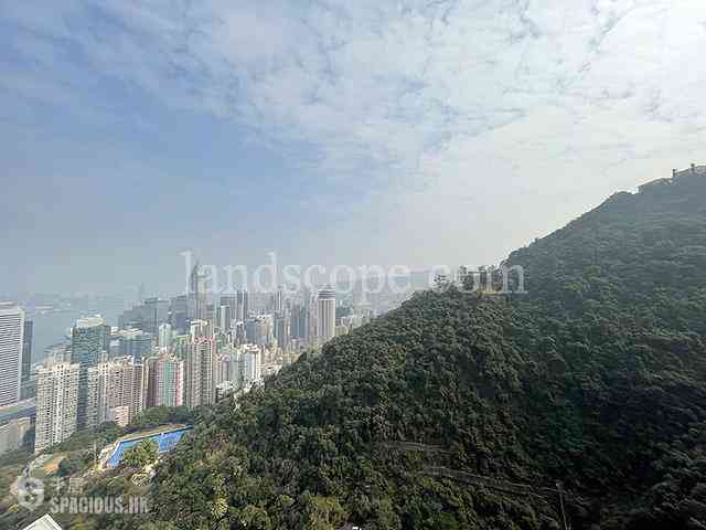 東半山 - Bowen's Lookout 02