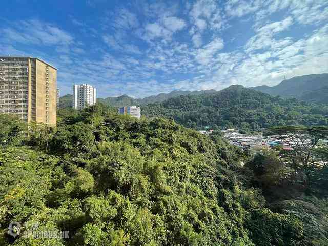 Tai Wai - Golden Lion Garden 10