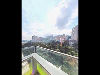 North Point - Lime Habitat 03