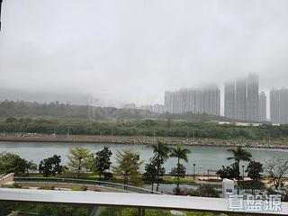 Tseung Kwan O - The Papillons 04
