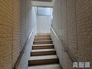 Tseung Kwan O - The Papillons 07