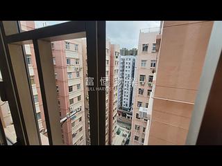 紅磡 - 黄埔新村 07