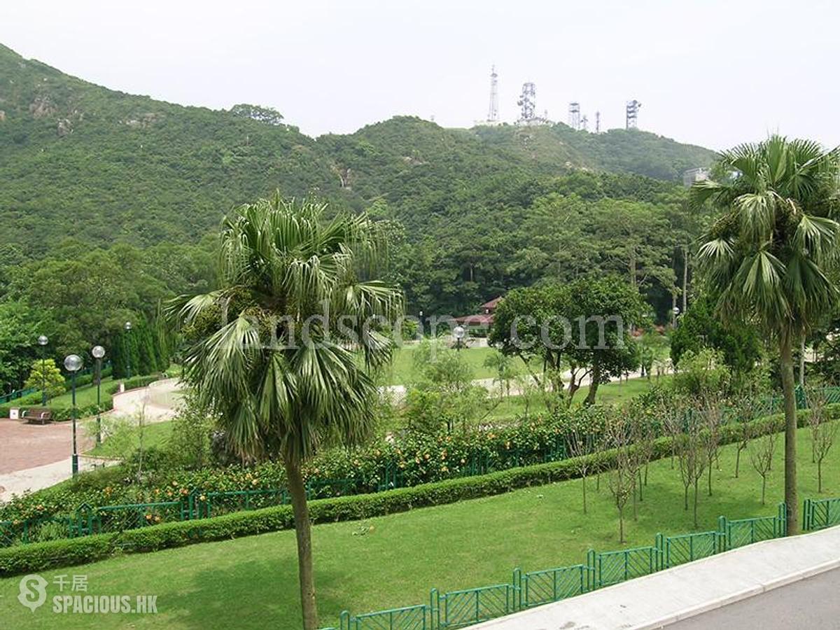 山顶 - The Mount Austin 01