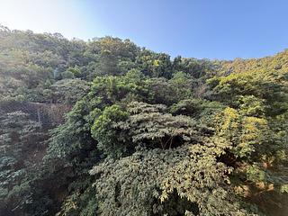 Sha Tin - Mount Arcadia 04