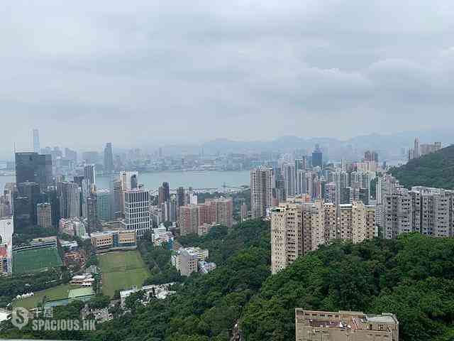 Jardines Lookout - Cavendish Heights 02