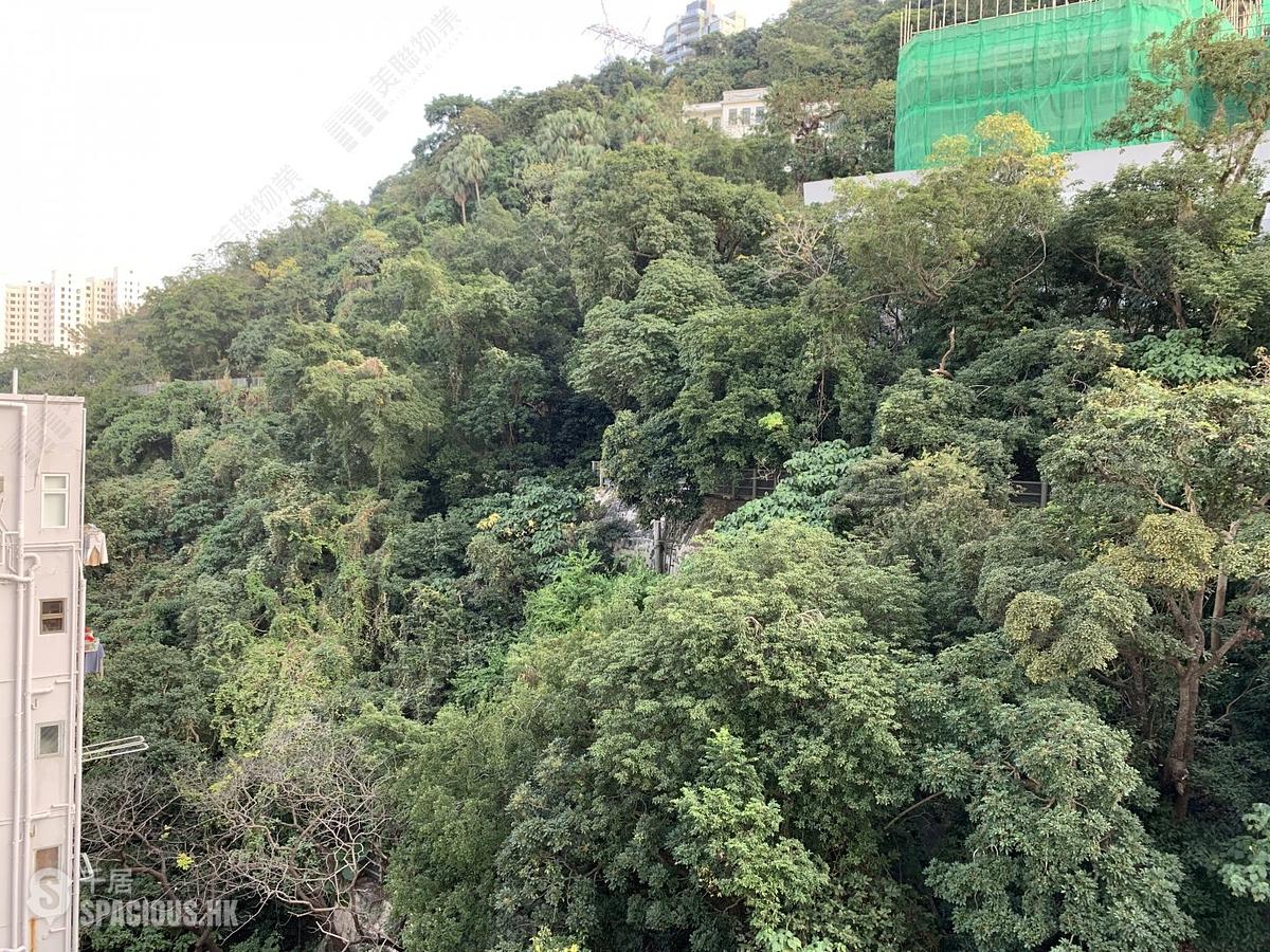 東半山 - 满峰台 01