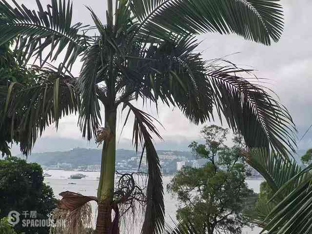 Sai Kung - Welldo Villas 04