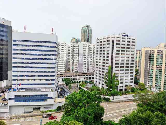 Ho Man Tin - The Crescent 01