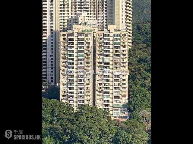 Tai Hang - Swiss Towers 10