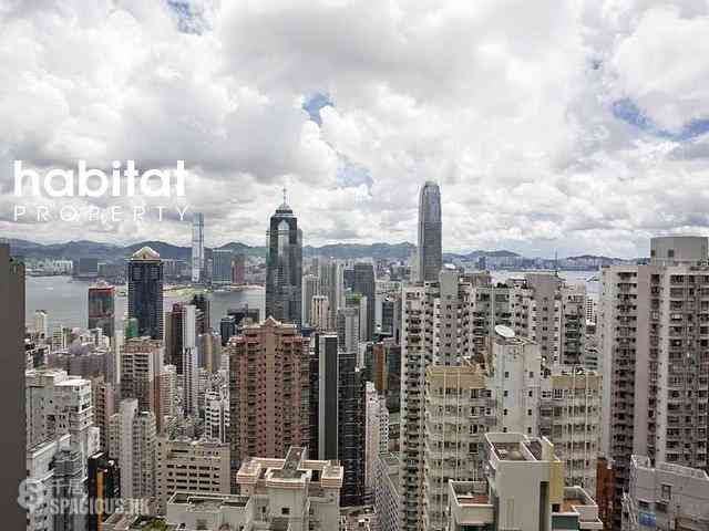 中半山 - 罗便臣道31号 03