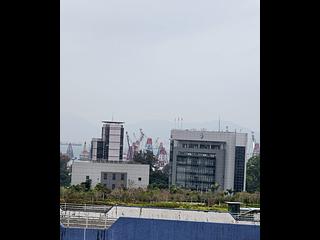 油麻地 - 德升大厦 06