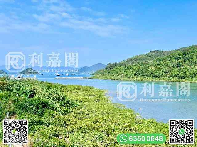 马鞍山 - 企岭下老围 02