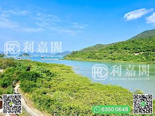馬鞍山 - 企嶺下老圍 27