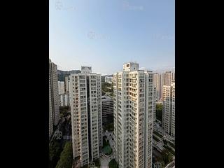 Tai Po - Tai Po Centre 08