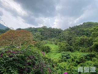 Tai Po Kau - Savanna Garden Block 49 06