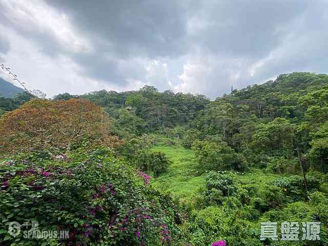 Tai Po Kau - Savanna Garden Block 49 06