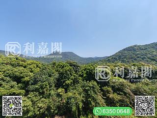 西贡 - 黄毛应 16