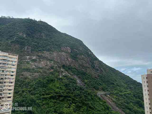中半山 - 君德阁 14