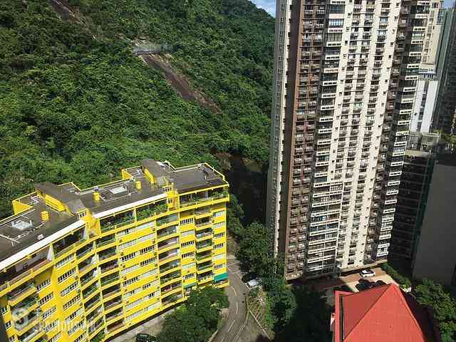 中半山 - 君德阁 17
