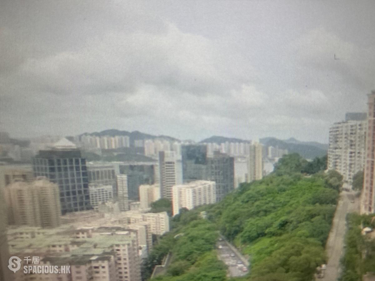 寶馬山 - 豪景 01