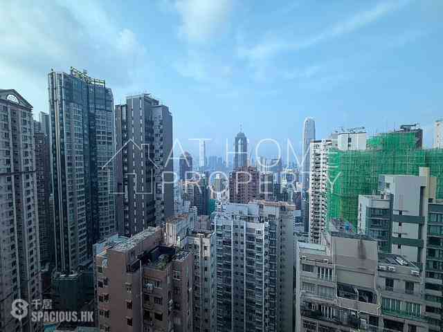 中半山 - 罗便臣道31号 13