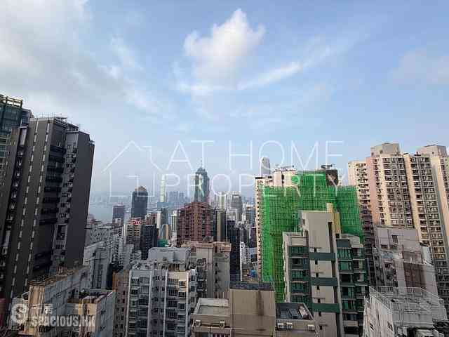 中半山 - 罗便臣道31号 14