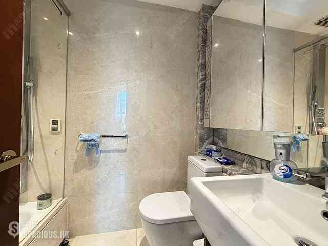 Wan Chai - The Avenue Phase 2 Block 1 04