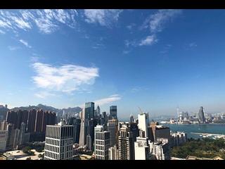 Causeway Bay - Jones Hive 02
