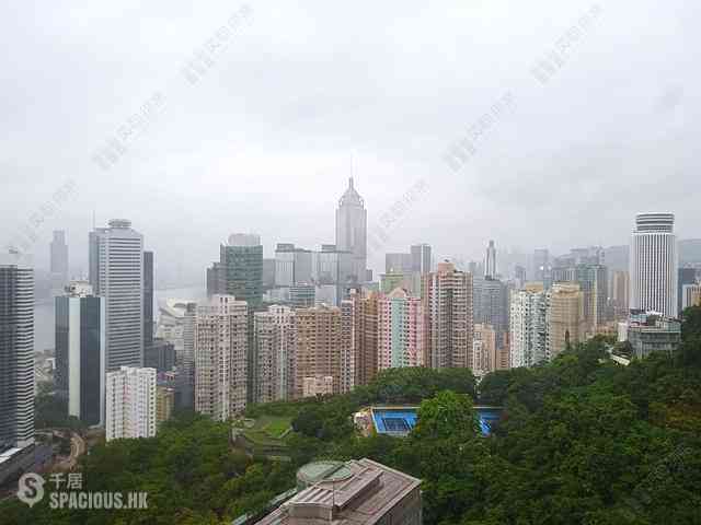 東半山 - 寶雲殿 03