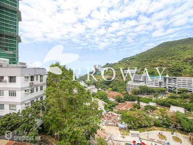 Pok Fu Lam - 3, Consort Rise 02