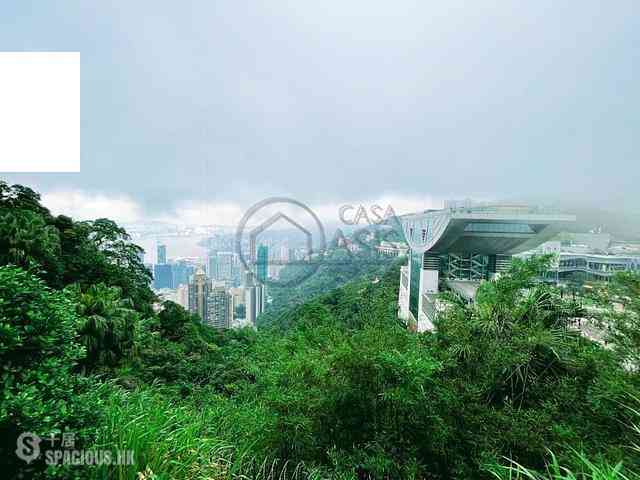 The Peak - Chu Wan 01