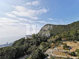 山顶 - The Mount Austin 02