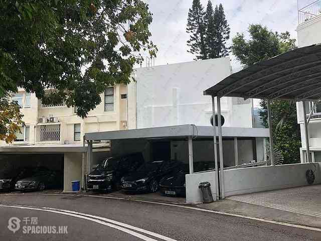 Shouson Hill - Orchid Hill 03