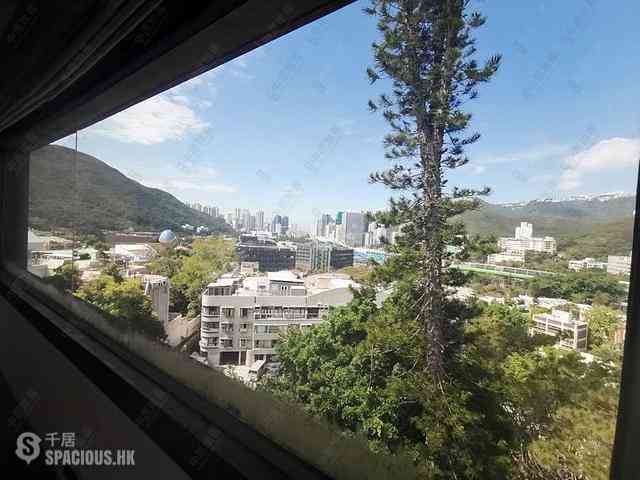 Shouson Hill - Orchid Hill 04