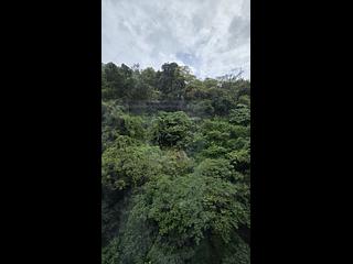 Mid Levels East - Man Yuen Garden 15