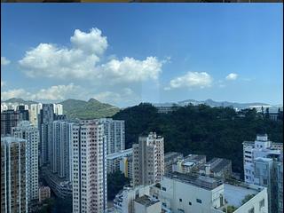 Shau Kei Wan - Lime Gala 05