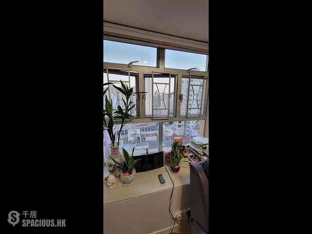 Shau Kei Wan - Seaview Garden 05