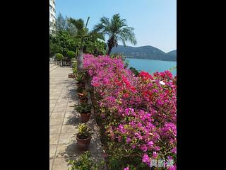 赤柱 - 大潭花园 05