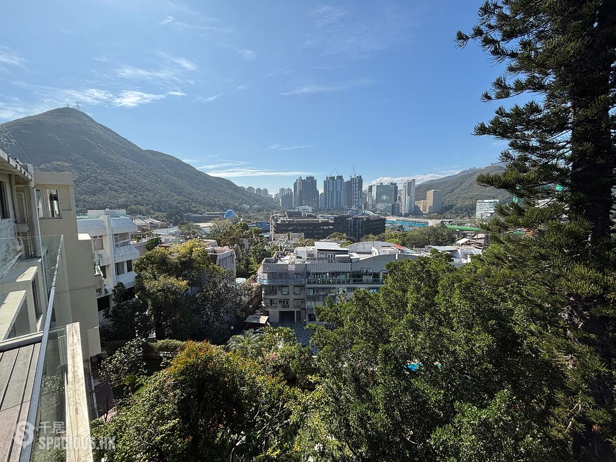 Shouson Hill - Orchid Hill 01