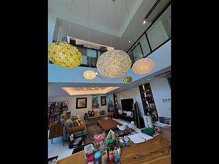 Shouson Hill - Orchid Hill 07