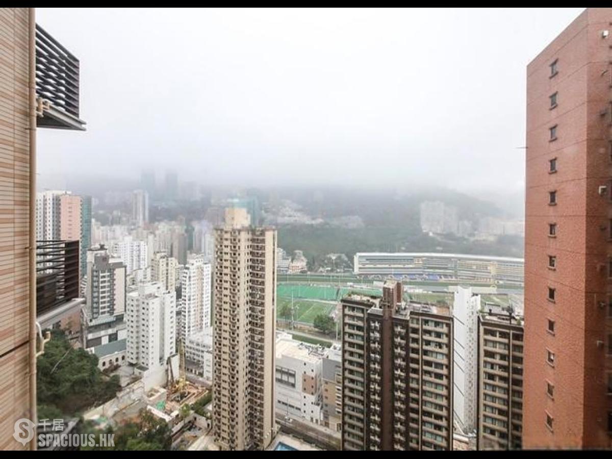 跑马地 - 比华利山D座 01