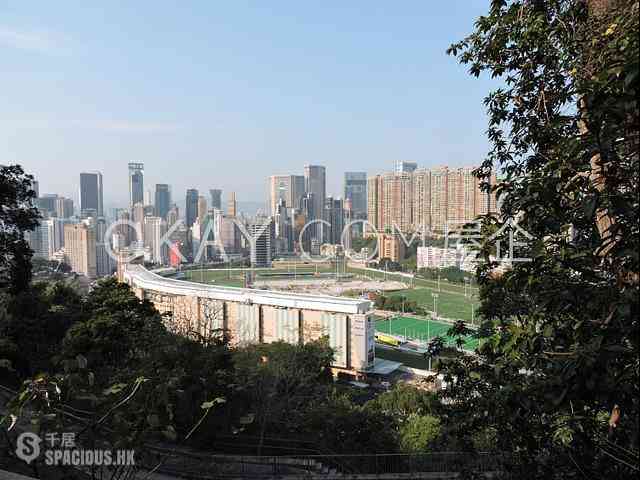 Stubbs Road - 24, Tung Shan Terrace 15