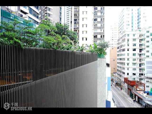 Soho - 113, Caine Road 21