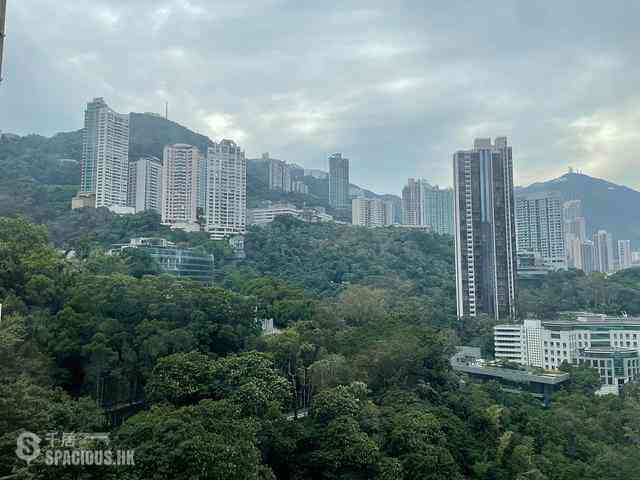 Wan Chai - Star Crest Block 2 01