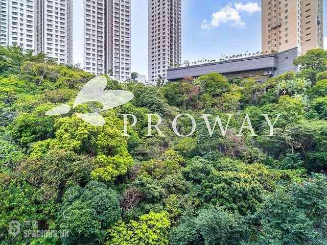 Happy Valley - San Francisco Towers 02