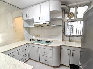 Tai Koo Shing - Tai Koo Shing Sing Fai Terrace Ngan Sing Mansion 07