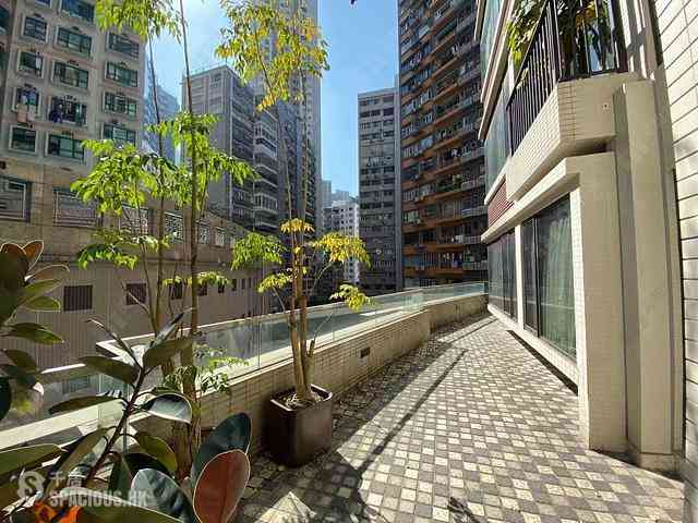 Sai Ying Pun - The Babington 02