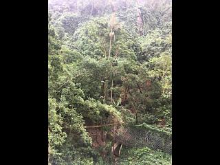 東半山 - 慧景台A座 09