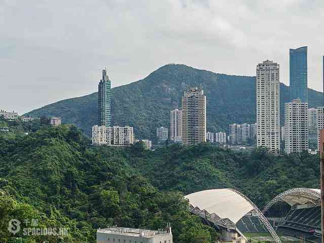 Causeway Bay - Jones Hive 02
