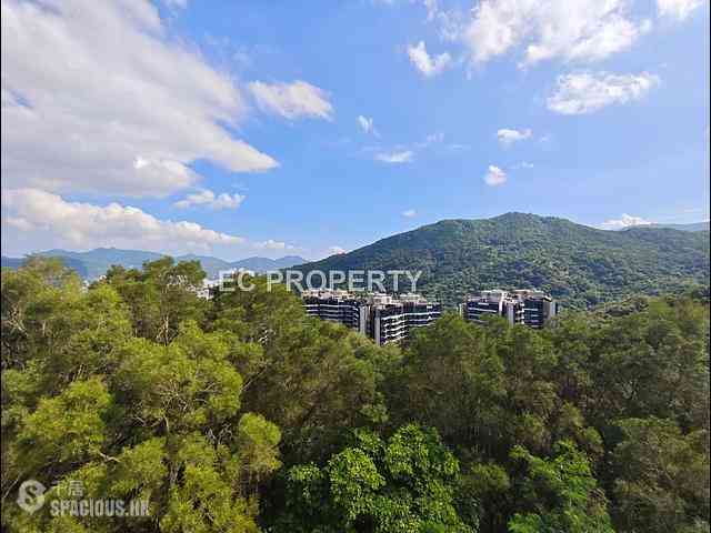 Sha Tin - Le Cap 06